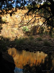 Agnes Milowka - Northern Territory Pond