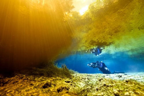 Becky Kagan Schott - Diver vs Tannic Cloud