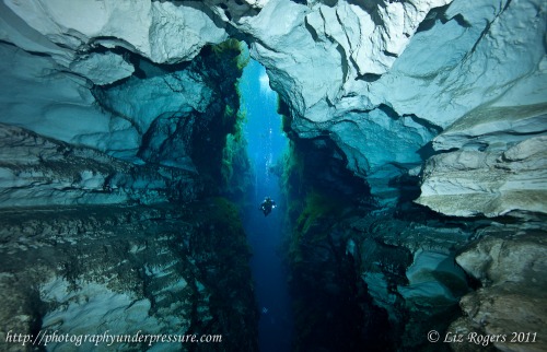 Liz Rogers - Piccaninnie Ponds