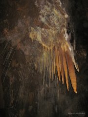 Agnes Milowka - Tasmanian Caves