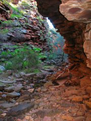 Agnes Milowka - Flinders Walk