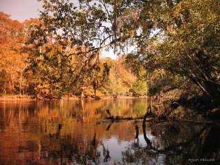 Agnes Milowka - Florida River