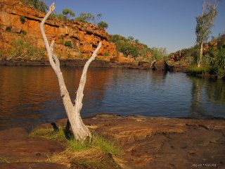 Agnes Milowka - Manning Gorge