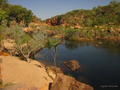 Agnes Milowka - Manning Gorge Water