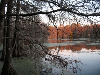 Agnes Milowka - Mill Pond Sight