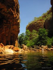 Agnes Milowka - Northern Territory Waters