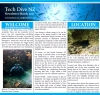 Tech Dive NZ
