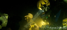 Agnes Milowka croc skull recovery from cave