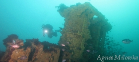 wreck diving