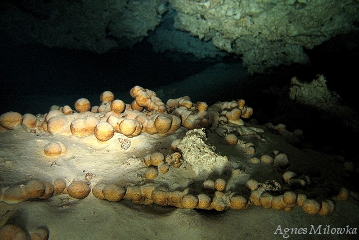 Agnes Milowka_cave diving devils eye